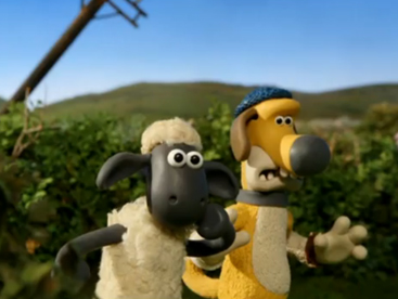Shaun and Sheep
